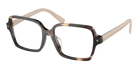 Prada PR A02V VAU1O1 Glasses Tortoise 